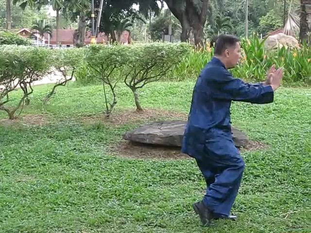 Wu Yu Xiang Style Taijiquan